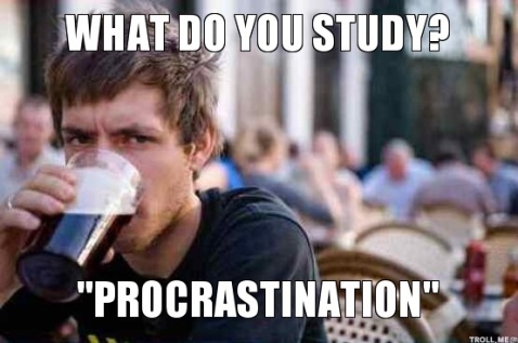 what-do-you-study-procrastination