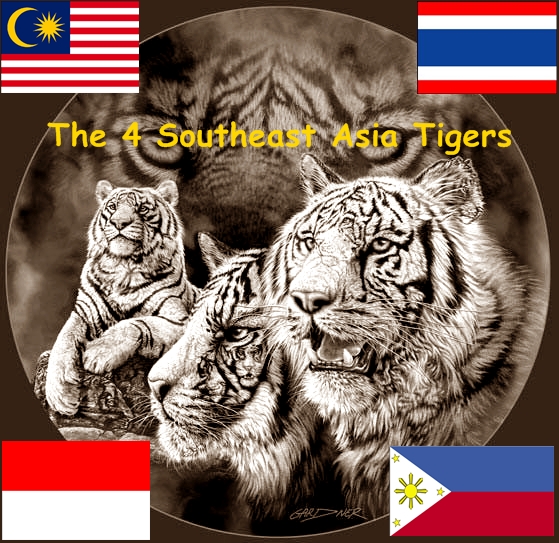 Четыре азиатских тигра. Восточноазиатские тигры. Страны тигры Азии. Азиатские драконы и азиатские тигры.